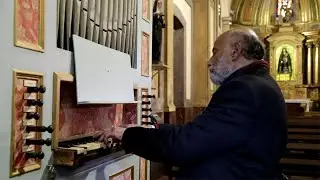 El órgano colonial