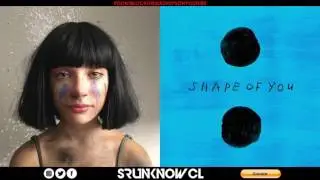 Sia vs. Ed Sheeran - 