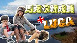 馬克家新成員『LUCA』初登場！太太帶LUCA一日郊遊去～