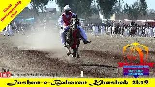 top 10 best horse riders | latest horseback riding skills | horse riding information | horse racing.