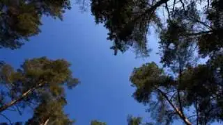 Tr&auml;umerei von Robert Schumann