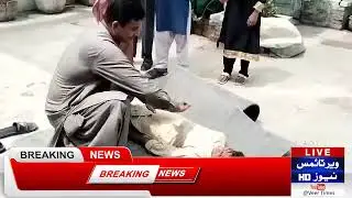Practical training in flood prevention and first aid was provided at The First Step Public School,