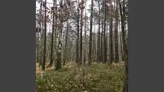NKUP