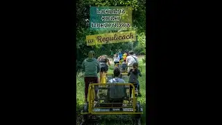 #2plus3blog z wizytą w Lokalnej Kolei Drezynowej w Regulicach (short)