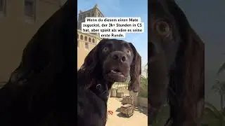Markiere deinen Mate 😂 #cs2 #csgo #cs2fun #gaming #cs2plays #donaz