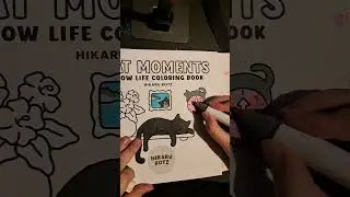 Cat Colouring Page Ohuhus