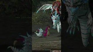 BALATHOR PETİ VE BİNEK METİN2 #metin2 #balathor #pet #mount #mmorpg #dragon #gaming
