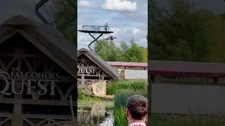 Warwick Castle Bird Show- part 3 #warwickcastle #england #uk #birdshow #birds #vultures #viral