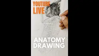 Live Art: Saree & Skeleton &ndash; Tradition Meets Anatomy 🧵💀
