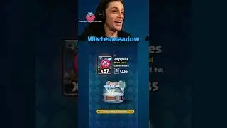 Champion Giant Chest