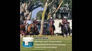 EMU OIL BALM #acneprone #arthritisrelief #burns #cradlecap #dermatitis #eczema #hairloss #itching