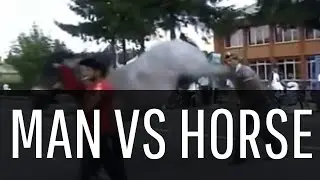 Guy slaps horse on the ass gets kicked in the face - InstaJustice.com
