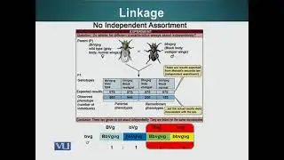 Linkage and Recombination | Cell Biology | BIO5105_Topic201
