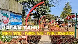 Walk Around Wisata Lembang Wonderland ~ Rumah Sosis - Pabrik Tahu Susu - La Fresa Petik Strawberry