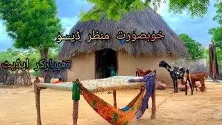 Green Tharparkar After Beautiful seen  of Thar // Desert Green Thar tharparkar update