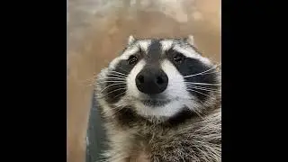 Unknown Song - 