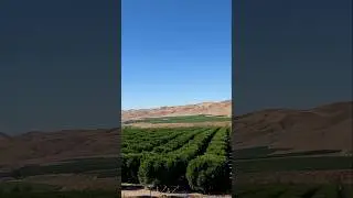 САМЫЕ ПРОДУКТИВНЫЕ СЕЛЬСКОХОЗЯЙСТВЕННЫЕ УГОДЬЯ АМЕРИКИ: Центральная долина Калифорнии. #roamingbe...