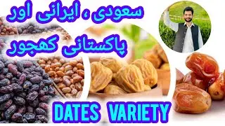 Saudi, Iranian & Pakistani Dates | سعودی، ایرانی اور پاکستانی کھجور |Price 2025 |Dates Market Update