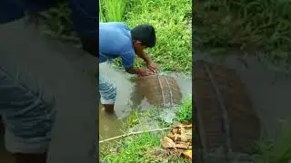 eel fish trap-part 1