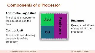 Components of Processors