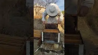 7 de enero de 2026