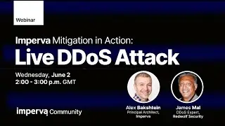 Живая DDoS-атака &ndash; смягчение последствий в действии