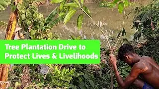 Top Tree Planting NGOs- Regular Tree Plantation Drive to Protect Lives & Livelihoods