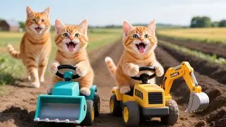 Mama Cat Trims Fur on the Farm and Makes Tiger Hat For Kittens At Home🐾🎩🐯
