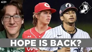 How GOOD Is the Chicago White Sox Farm System Right Now? Dylan Barnas Weighs In!
