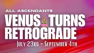 Venus turns Retrograde - (July 23rd - September 4th) - All Ascendants