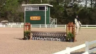 Video of MTM BUGATTI ridden by CATHERINE CHARTIER from ShowNet!