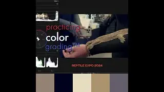 Practicing Color Grading&trade;: Reptile Expo Winter 2024