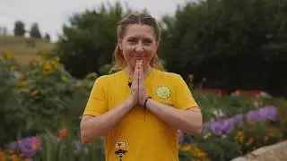 Yoga Teacher's Training Course in YogaSiddhi ashram, Russia.