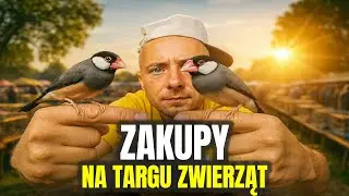 🦩 KUPIŁEM EGZOTYCZNE PTAKI 🦩 czyli zakupy na targu zwierząt ! MOJE MINI ZOO / odc. 736