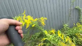 POV Lawn Mowing | Satisfying Grass Cutting Sounds