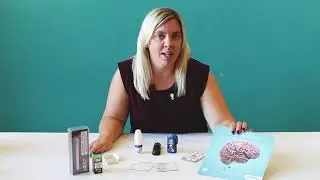 Stop Smoking &ndash; Medication