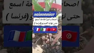 Changement de statut saisonnier salariés 