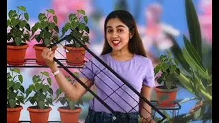 ORCHID ENGINEERS, Iron Indoor/Outdoor Flower Pot/Plant Stand for Home Decor | Influencer Videos