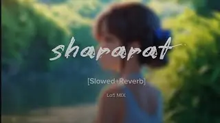 Shararat (Slowed+Reverb) | Lofi Mix | Fun & Playful Vibes | Trending Song 2025