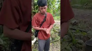 Hindi ko pa to na training, pero na pa amo ko na.