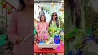 ✨ DIY Fairy Tray Garden &ndash; Create Your Own Magical Mini World ✨#shorts