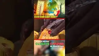 Everything You Need to Know About Heat Wave in Pakistan Part 12  #pakistancricket #cricket