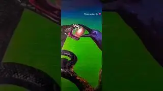 snake 🐍 vs crow #snake #crow #shorts