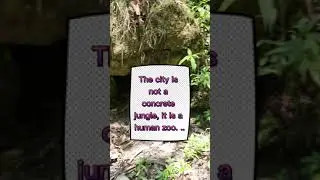 Jungle Adventure Nepal-Hometown