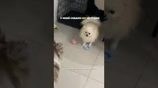Проверенное средство для стирки #146229647