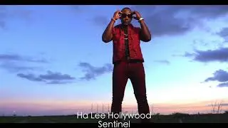 Sentinel-Ha Lee Hollywood