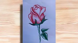 Rose drawing with red and green ball pen || very easy drawing rose