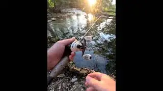 Beautiful morning on the Medina River.         #bassfishing #riverfishing #kistler #kistlerrods