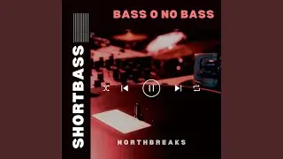 BASS O NO BASS