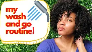 MY WASH & GO ROUTINE | USING THE MANE CHOICE TROPICAL MORINGA ENDLESS MOISTURE LINE